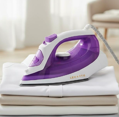 Steam & Spray Iron